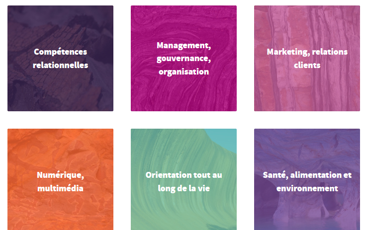 Catalogue Orgabisme de formation Elan créateur certifié Qualiopi Rennes Bretagne